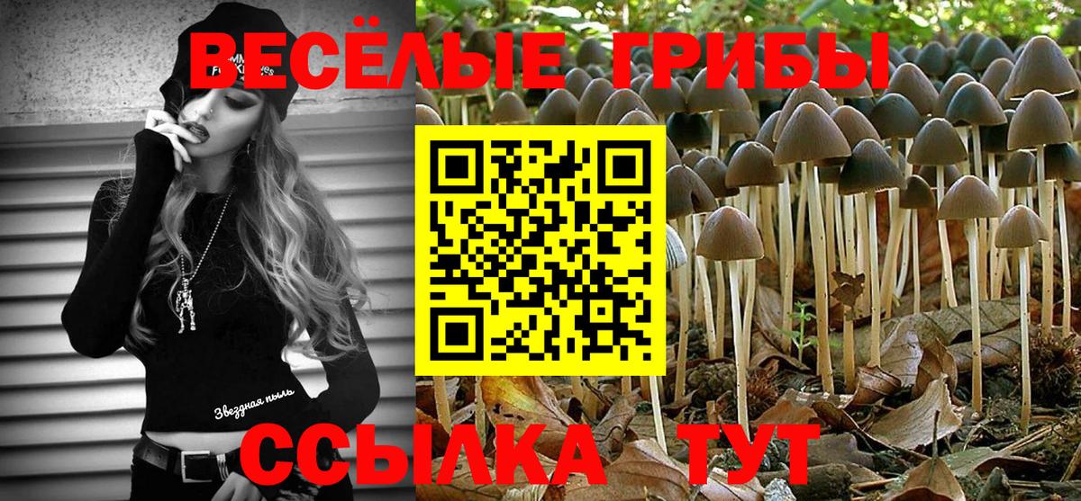 Псилоцибиновые грибы MAGIC MUSHROOMS Кинешма