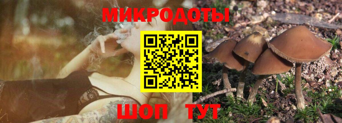Псилоцибиновые грибы прущие грибы  Вход с VPN  где найти наркотики  Кинешма  Псилоцибиновые грибы MAGIC MUSHROOMS 